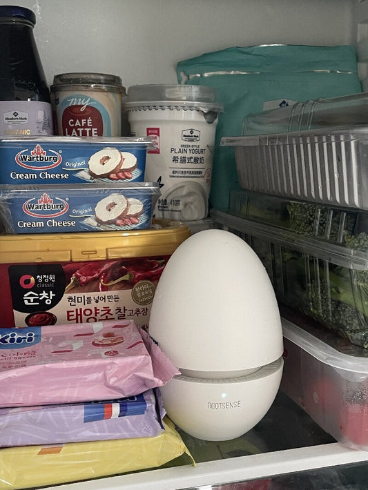 Korean Food Lover's Secret Weapon: Candy Egg