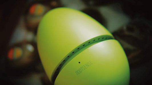 Say Hello to Longer-Lasting Fruit with Candy Egg
