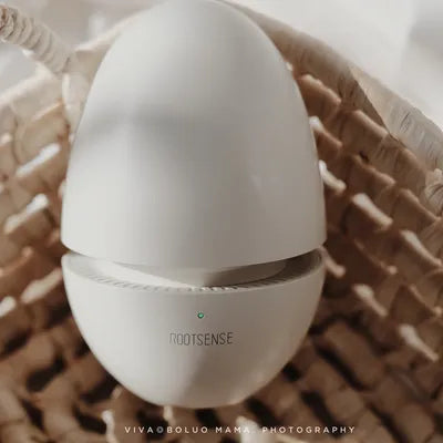Picnic Perfection with the Portable Candy Egg!