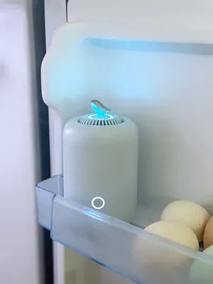 Trusting My Bestie: The Rootsense Lantern Delivers!
