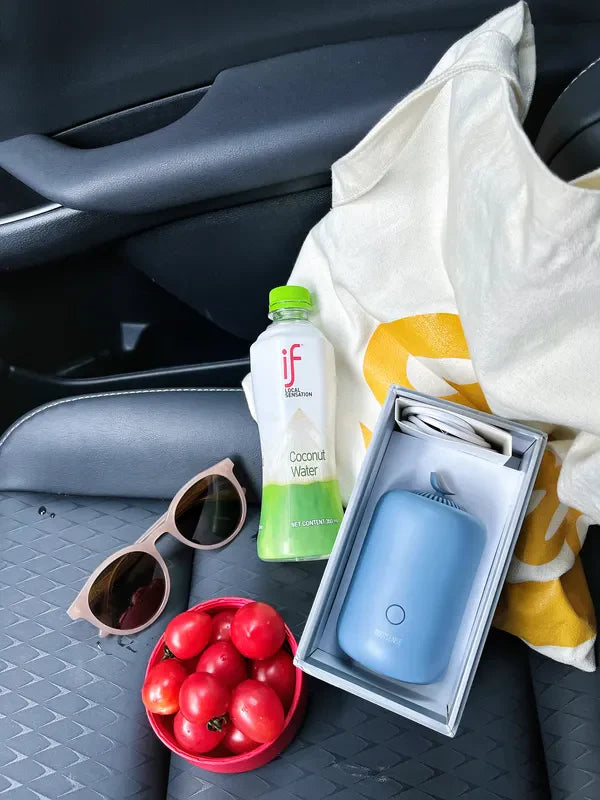 Freshness Beyond the Fridge: My Rootsense Lantern Adventures!