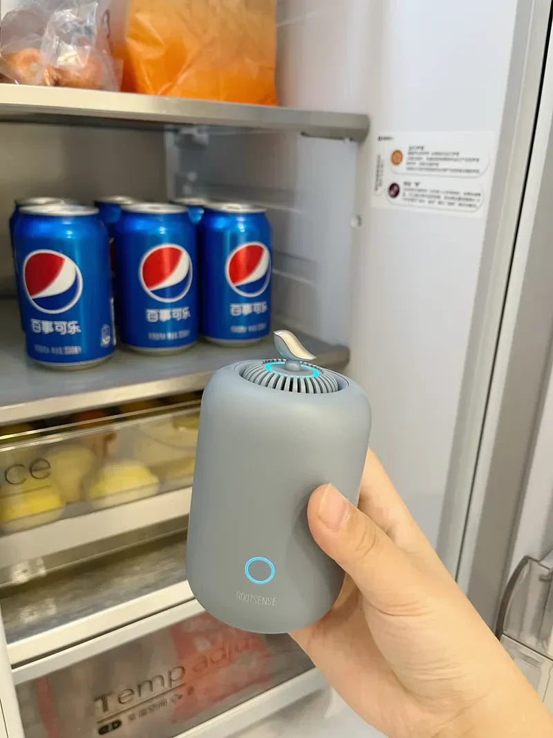 Adorably Effective: The Rootsense Lantern's Perfect Fit!