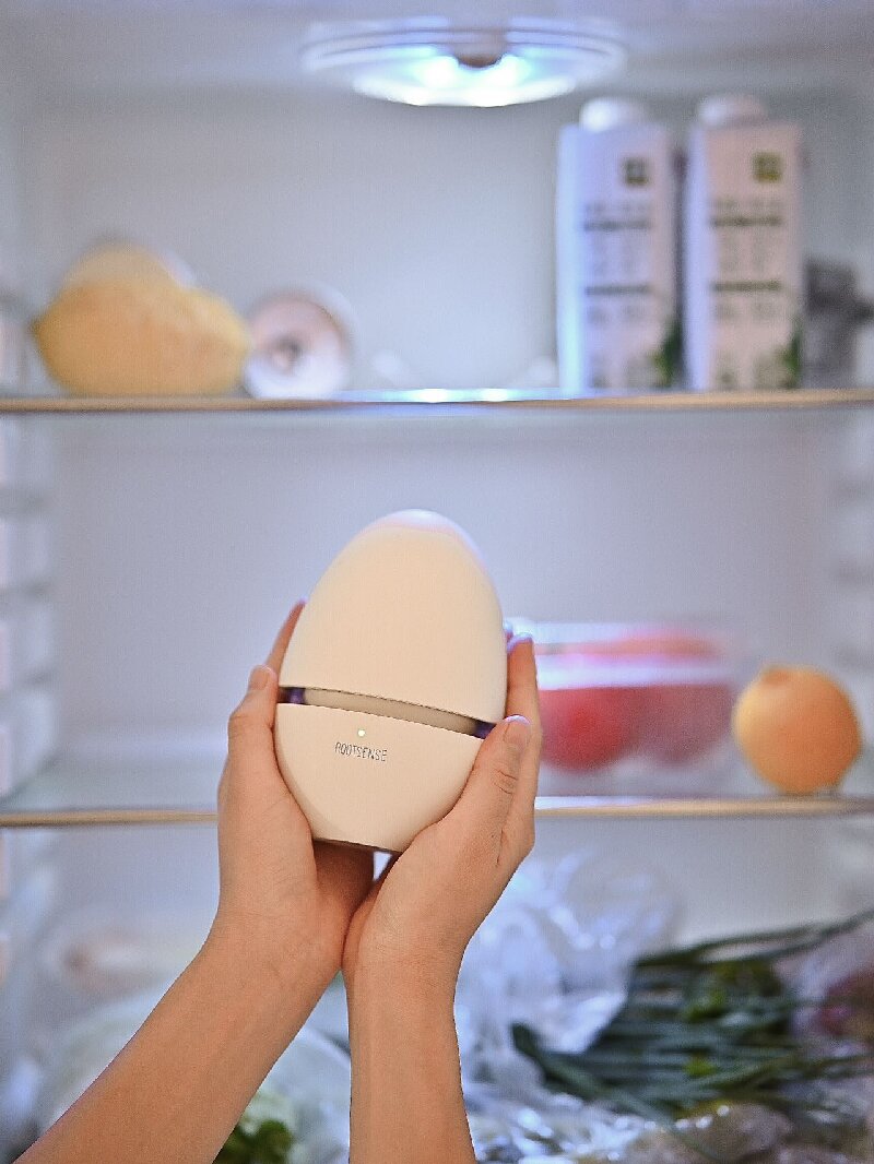 Busy Professional? This Little Egg Saves the Day!