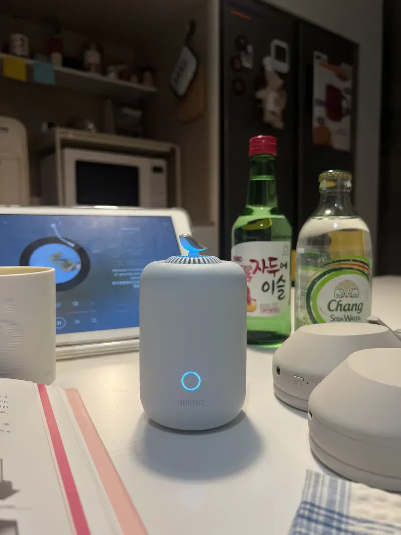 One Little Lantern, Two Big Jobs: Fridge Freshness + Desk Air Love