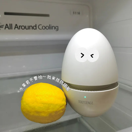 My Fridge's Perfect Fit: The Rootsense Candy Egg