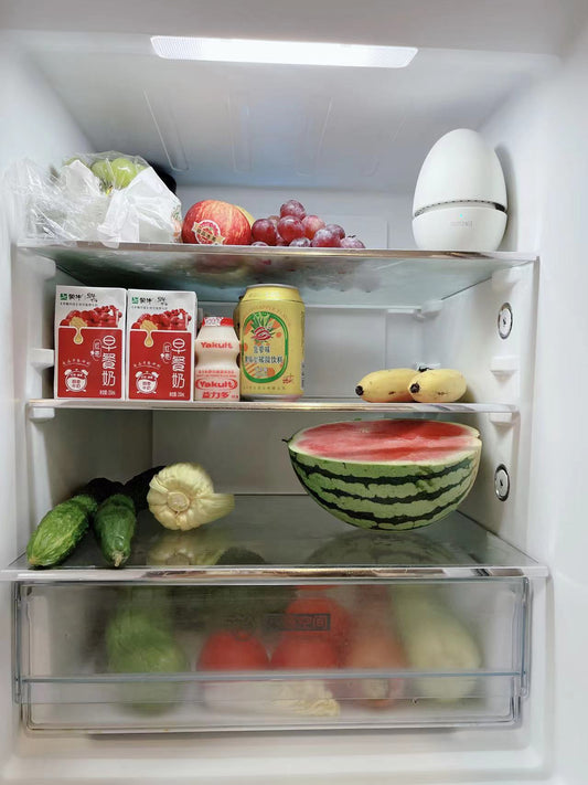 The Egg of Wonders - Bye-Bye Fridge Odors, Hello Freshness!