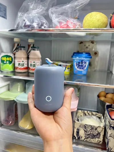 More Than Just a Deodorizer: The Rootsense Lantern Keeps My Fridge Hygienic