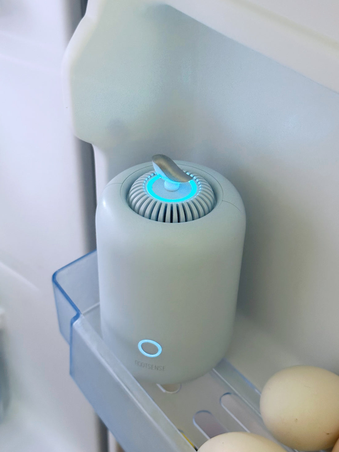 A Compact Solution for Fridge Freshness