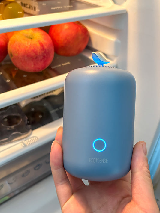 Home Living Essentials | This Fridge Deodorizer is a Game-Changer!