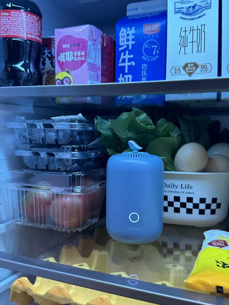The Lantern: My Packed Fridge’s Secret to Fresh, Safe Eats