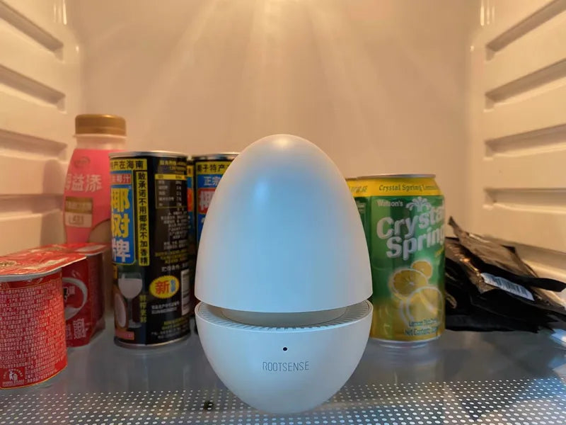 Cute, Compact, and Oh-So Fresh: Why I Adore the Candy Egg