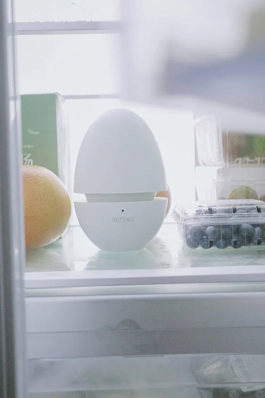 This Little Candy in My Fridge Is Keeping My Fruit Happy