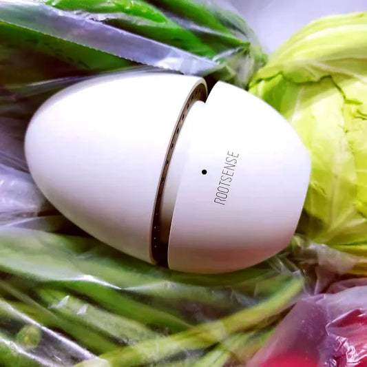The Little Egg That Saves My Groceries