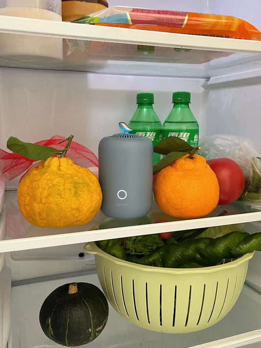 A Versatile Powerhouse: The Rootsense Lantern at Home and Work