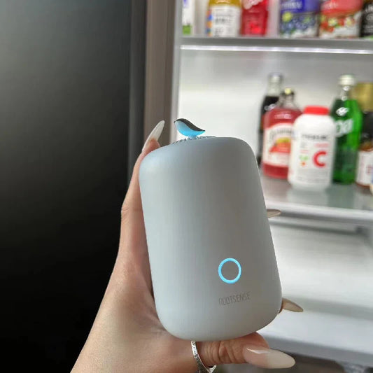 A Design-Forward Solution for a Fresh Fridge