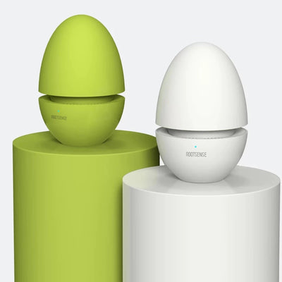 Guardian Angel Fridge Deodorizer Candy Egg – product photo 1 of 31